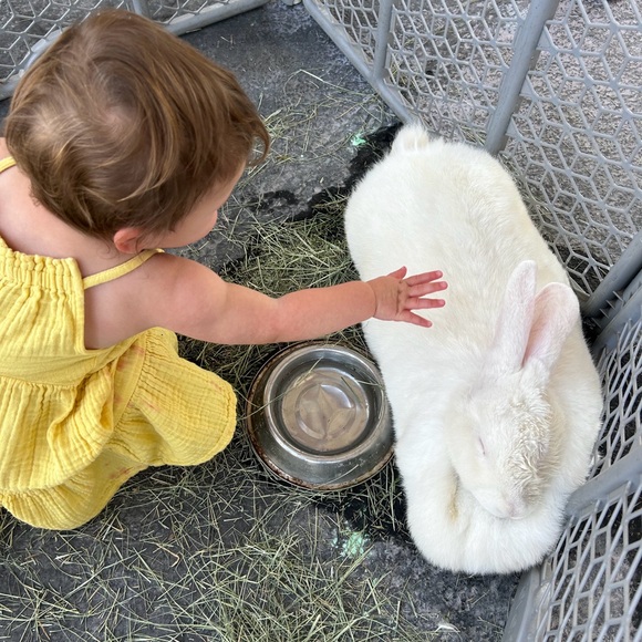 Meet your Posher, Joshua - Picture 1 of 1